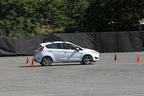 IMG 6473 (Large)