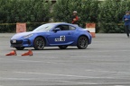 IMG 6579
