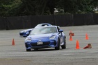 IMG 6592