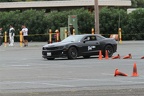 IMG 6643