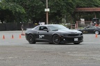 IMG 6769