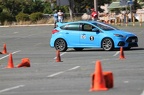 IMG 0983