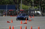 IMG 1023