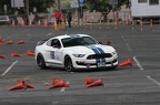 IMG 9527