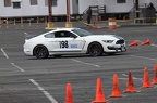 IMG 9532