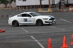 IMG 9531