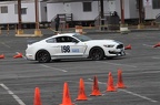 IMG 9533