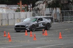 IMG 9611