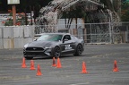 IMG 9610