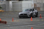 IMG 9617