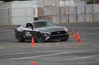 IMG 9620