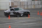IMG 9621