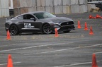 IMG 9622