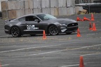 IMG 9623