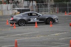 IMG 9627