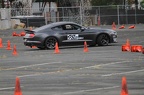 IMG 9628