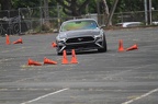 IMG 9650