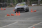 IMG 9649