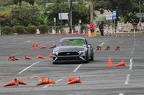 IMG 9661