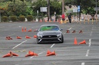 IMG 9662