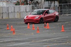 IMG 9683