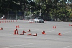 IMG 6719