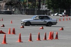 IMG 6725