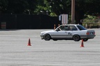 IMG 6729