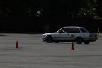 IMG 6731