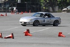 IMG 6846