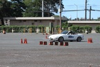 IMG 6854