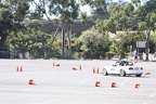 IMG 6855