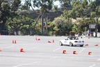 IMG 6856
