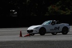 IMG 6881