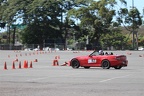 IMG 6890