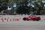 IMG 6891