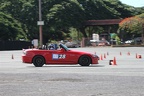 IMG 6893