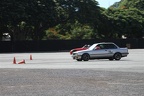 IMG 6901