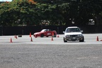 IMG 6903