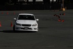 IMG 0074