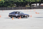 IMG 0216