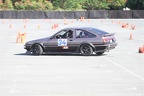 IMG 0228