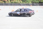 IMG 0229