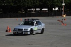 IMG 0273