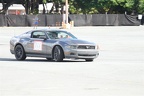 IMG 0336