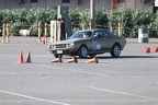 IMG 5244