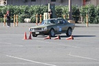 IMG 5245