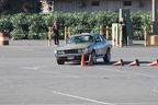 IMG 5247