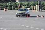 IMG 5248