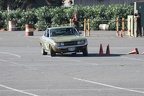 IMG 5250